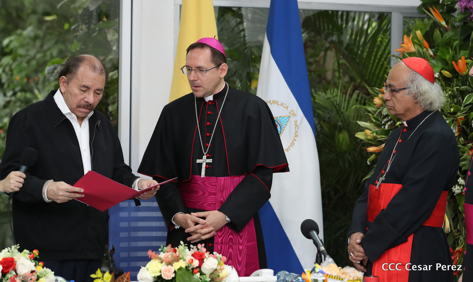 Nuncio1